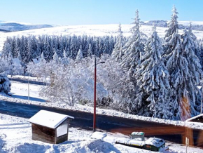 Agreable studio aux grands horizons Besse-Et-Saint-Anastaise